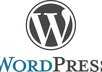 create a professional SEO optimized wordpress theme