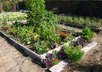 teach you how to grow healthy and delicious food and medicine with economy