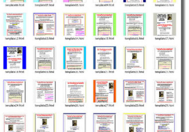 show you how to increase the profits from your existing lead capture page big1