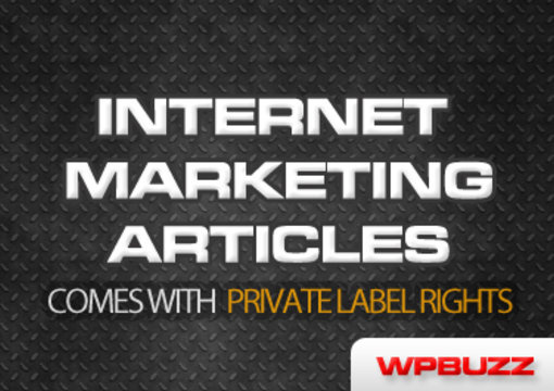send you 1000 internet marketing articles with private label rights included big1