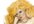 draw your fantasy woman with your name written