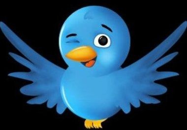send your message to more than 118000 genuine twitter followers big1