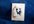mail you 2 Poodle Dog luggage tags