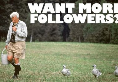 supply 300 followers to your Twitter account big1