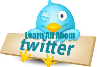help you learn all about Twitter big1
