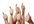 give 100 guarantee facebook like with in 4 days