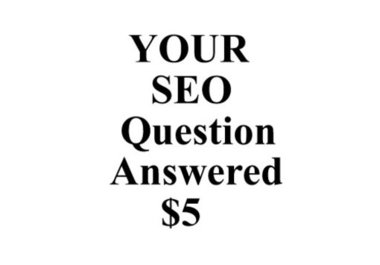 answer any seach engine optimization seo question you have big1