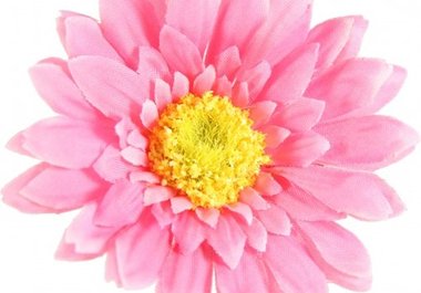 ship you a Pink Silk Daisy Flower clip big1