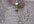make you jade heart  Rasta earrings