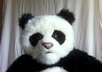 have my puppet record a custom message