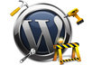 fix any problem on your website, wordpress or any cms platform,