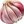 thegarlic