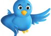 sell my twitter accounts with about 1000 followers small1