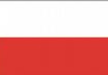translate polish to English up to 500 words big1