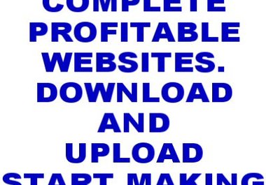 you 8 PROFITABLE complete websites with Complete Instructions big1