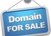 show you how to use a $250,000 Domain Portfolio to Flip Domains and Keep 100% profit without you ever having to buy any domain