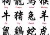 help you translate English to Chinese or vice versa