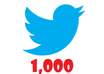 you 1000 real twitter followers