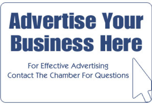 give you 5000 visitors to blog/website by full banner ads in my websites big1