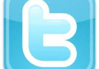 give you 250 plus twitter followers to your account big1