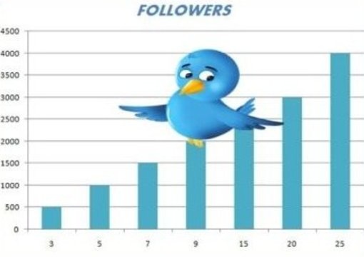 increase more than 1000 followers to your twitter account WITHOUT password big1