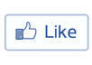 give you 50 guaranteed facebook likes on your fan page or webpage or pictures or video or on comment or vote