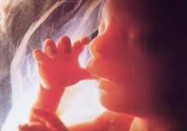 predict the gender of your baby in the womb or give advice when the right time to have the baby according to the gender you want just big1