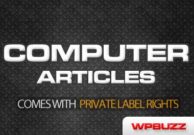 send you 750 Computer articles with private label rights included big1