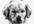 make a cute portrait of your pet