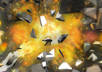 create cinematic explode of your logo or name only