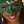 blogdiva