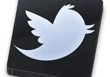 promote your link, website, business to my 30,000 followers on Twitter big1
