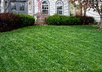 coach you on how to have a beautiful lawn
