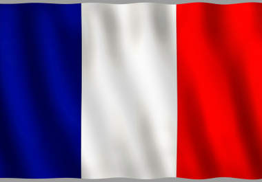 translate an article from english to french big1