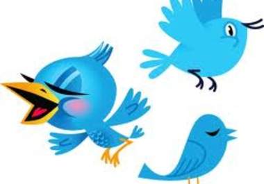promote/tweet your link website/video/product or message to my 26,000+ followers on Twitter big1