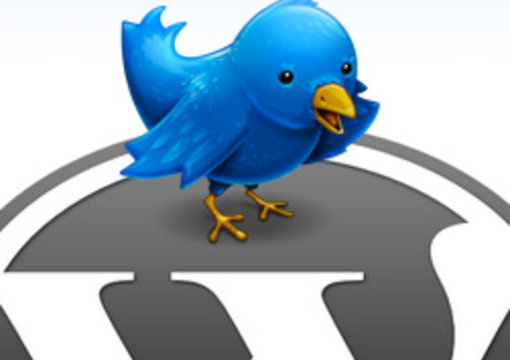 create SEO friendly autopilot blog with fresh new unique articles only big1