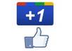 get 20 Google +1 unique hits on your site