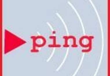 ping your websites URL to a minimum of 100 sites to a maximum of 338 websites big1