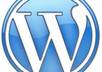 help you improve your Wordpress site by consulting you on addons
