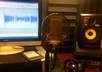 record a professional 100 word voice over small1