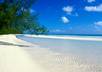 send you 850+ Summer Beaches PLR articles