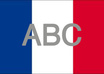 professionally translate your English text into French small1