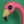 plasticflamingo