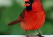 send you 258 Home Security PLR articles that you can use in your website small1