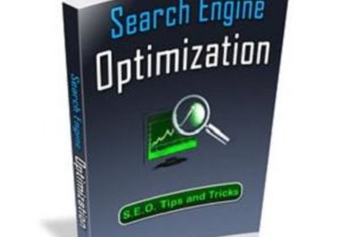 sell you a professional seo eBook only big1