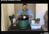 give you 2 page rank 2 links on my gardening blog