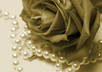 write a custom erotic short story starring YOU