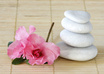 give you a Professional 1 Room Feng Shui Design Consultation