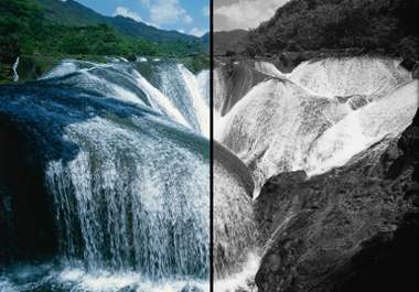 convert 25 color pictures to a black and white pictures in less than 24 hours big1