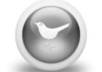 promote/tweet your Link Video Website Blog Ad or Message ect to my 44,000+ followers on Twitter